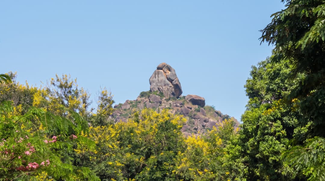 inaugurations dans la Région de l'Adamaoua